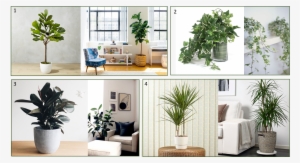 Plants - Creative Displays Faux English Ivy Plant In Glass Vase