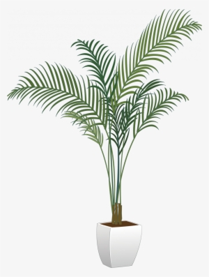 Pictures Of Potted Plants New Arecaceae Flowerpot Houseplant - Transparent Potted Plants Png