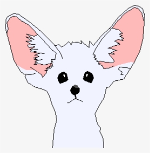 Fennec Fox - Illustration