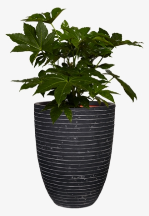 Capi Nature - Flowerpot