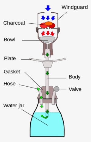 Hookah Anatomy - Much Water In Shisha