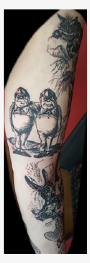 Tweedles Dee Dum Alice Sleeve Origianl Illustration - Library