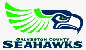 Seattle Seahawks Logo 2018