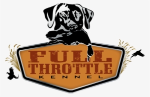 Gun Dog Training - Labrador Retriever Training Facility Kennels