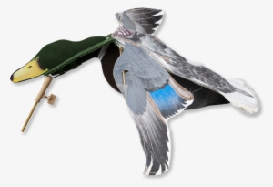 Image Of The Sillosocks Mallard Flapper - Duck Shooting