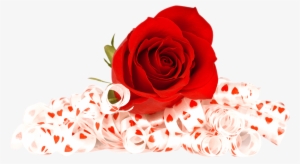 Valentines Day Roses Png Photo - Flowers Red Rose Png