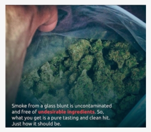 Weed