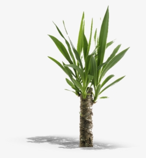 Product Item - Peter Pepper Kona Planter Kp2420 - Steel - 24 Inch