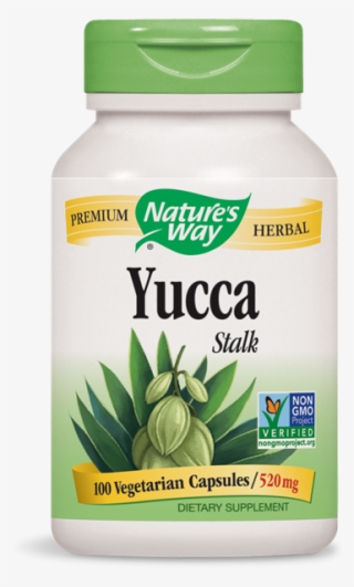 18300 - Yucca Stalk - Nature's Way Products