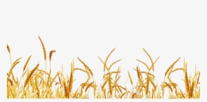 Farm Field Parrallax