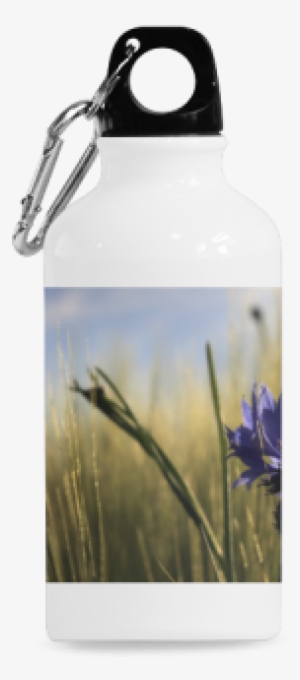 Cornflower Bluebottle Wheat Field Summer Cazorla Sports - Interestprint Reasons To Be A Unicorn Quotes 13.5oz