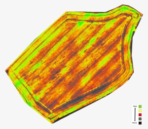 Ndvi Processed Single Camera Image - Illustration