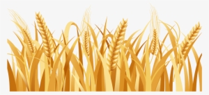 Svg Freeuse Library Barley Vector Head - Wheat Png