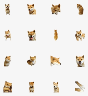 Shiba Inu Sticker Without Character - Cat