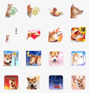 Sell Line Stickers Shiba Inu Hayate Sticker - Companion Dog