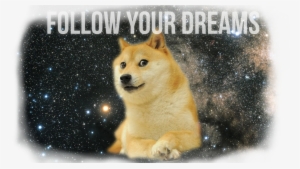 Many Wallpaper - Doge Follow Your Dreams