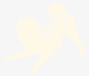 Powder - Companion Dog