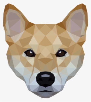 Haru The Shiba Inu