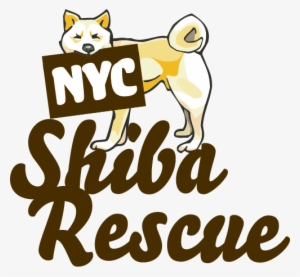 Nyc Shiba Rescue - New York City