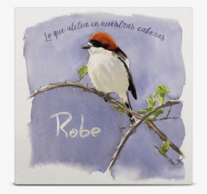 Ansel Y La Música - Lo Que Aletea En Nuestras Cabezas