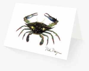 Nick Mayer Note Card - Chesapeake Blue Crab