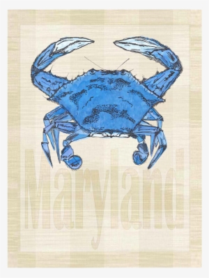 Maryland