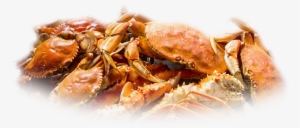 Picture Transparent Full Menu Chickie S Pete Blue Claw - Cooked Blue Claw Crab Transparent