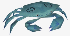 Cancer Crab - Chesapeake Blue Crab