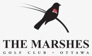 Marshes Logo Brookstreet Logo Blackhr - Town Hall