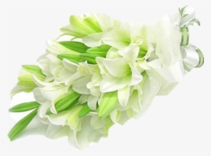 White Lily Roses Flower Delivery Candy Petal - Death Love Anniversary Quotes