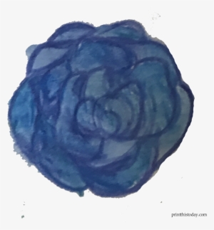 Blue Water Color Rose - Garden Roses