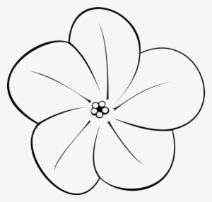 Plumeria Flower Clipart - Black And White Plumeria Flower
