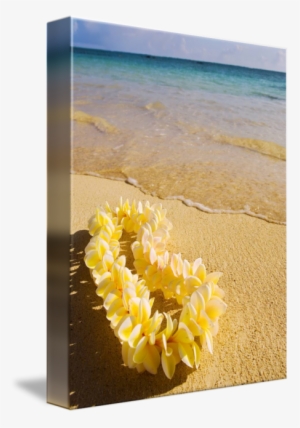 On The Seashore By Tomas Del Amo