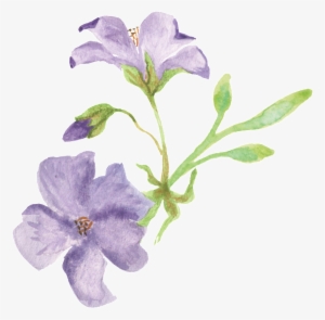 Purple Frangipani Leaf Cartoon Transparent - 卡通 花圈 - 1024x1024 PNG ...