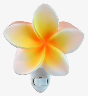 Kc Hawaii Yellow Plumeria Night Light 5.25" X 3.25"