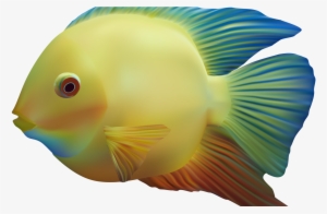 Exotic Fish Png Clipart Best Web Clipart - Fish