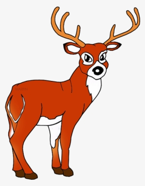 White Tailed Deer - Red Deer Clipart