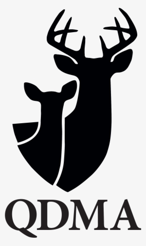 We Proudly Sponsor - Qdma Logo