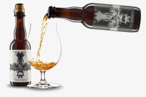 Incredible Experience From Start To Finish - Adroit Theory Illusion Of Safety