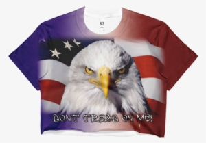 Usa American Flag Eagle Cool 24x18 Print Poster