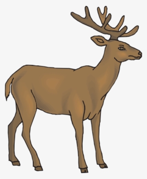 How To Set Use Brown Deer Svg Vector