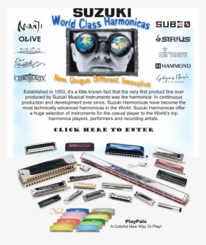 It Has Come To Our Attention That Counterfeit Suzuki - Suzuki Play Pals Harmonica Key Of C Blue