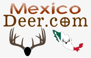 Chinga Tu Madre Donald Chump Black Round Ornament