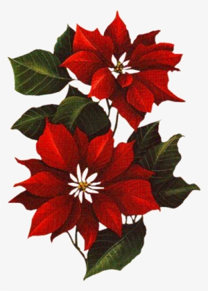 Christmas Pipes / Victorian Plus - Flor Navideñas Pintadas En Telas