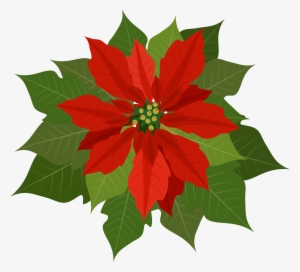 Free Poinsettia Clipart - Poinsettia Clipart Png