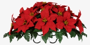 Clipart Resolution 533*533 - Christmas Poinsettias Images Png