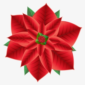 Clip Royalty Free Download Christmas Poinsettia Transparent