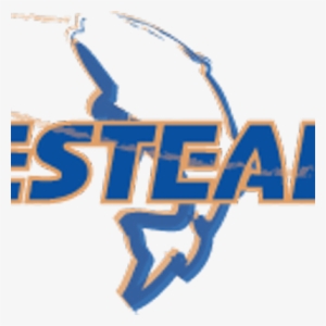 Tacklesteals - Graphics