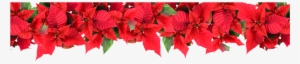 Poinsettia Powerpoint Template Free