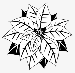 Poinsettia Clipart - Pascua De Navidad Blanco Y Negro